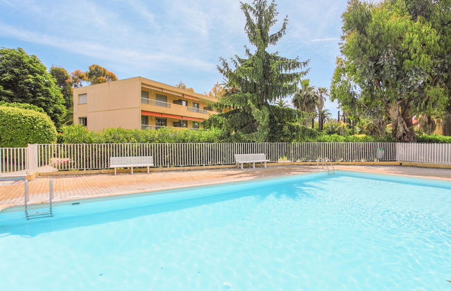 Les Eucalyptus - Foto 15