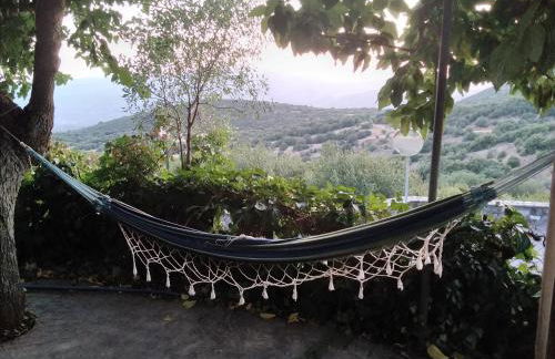 The Artist's House - Photo 40