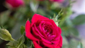 Attic A31 apartament rooftop deluxe - Foto 2