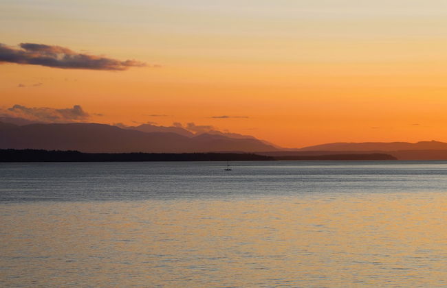 Stunning House with Views of Puget Sound Ideal for Family Reunions - Foto 51