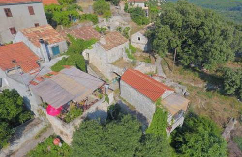 Calypso's Cave the Apartment for Animal Lovers - Foto 19