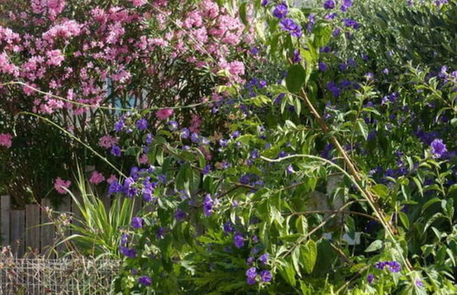 Apartment in Neureichenau - Foto 36