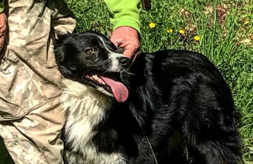 Charming Apartment in Abbateggio with Mountain View, 60 m² - Foto 10