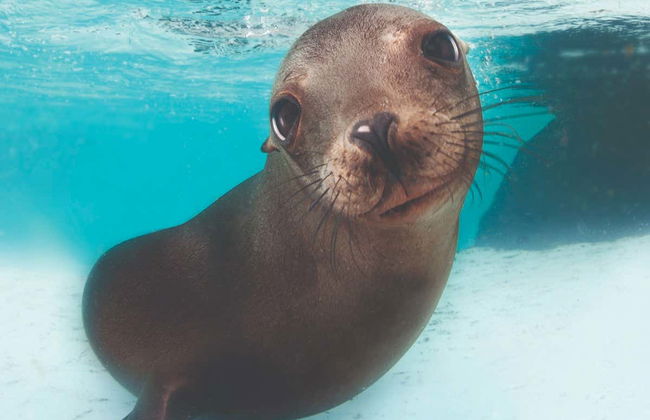 Boston CityPASS® - Photo 7