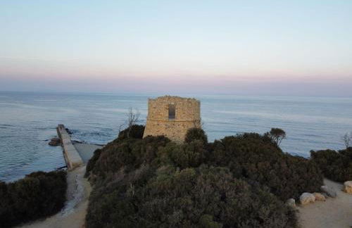 Casa Lamaghjone - Villa T4 avec piscine chauffée à 3,5km de la mer - Foto 62