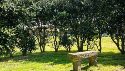 Country House in Azores - S. Miguel - Photo 2, Garden