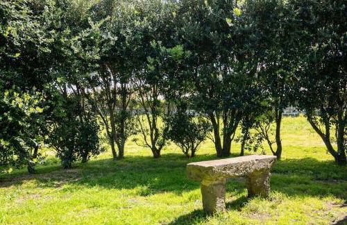 Country House in Azores - S. Miguel - Photo 2