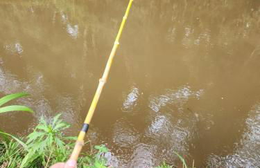 Casa de Campo Refúgio Jaguary - Foto 37