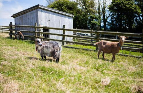Sharlands Farm Holiday Cottages - Foto 15