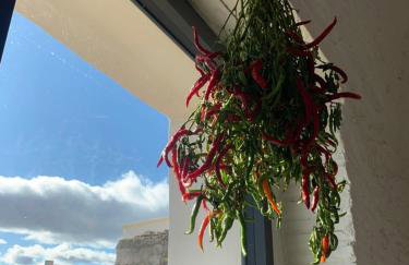 Vintage House in centro storico Basilicata Puglia - Foto 22