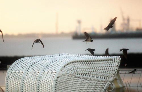 Ferienhaus Olenbrook - Foto 8