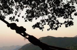 Dialiskari #2 - Foto 17