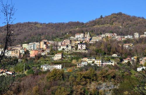 GolfoParadiso Uscio bombon - PellicceriaSuperior - Foto 39