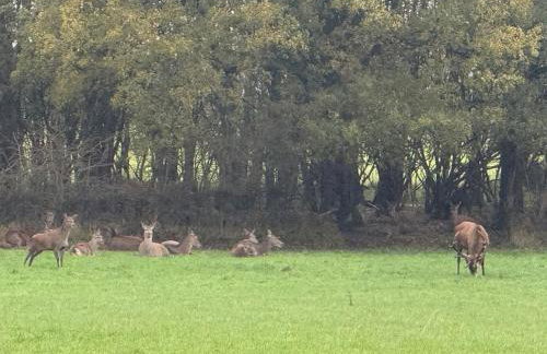 The Nook at Norton 1-Bed, Sleeps 4, Parking, WiFi, Contractors - Photo 39