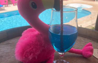 Les Bougainvillées de Camargue - Photo 55