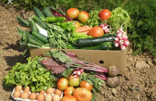 Apartamento en casa de campo cerca de la playa - Foto 21