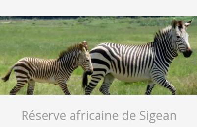 LES CIGALINES Chalet au calme - Foto 32