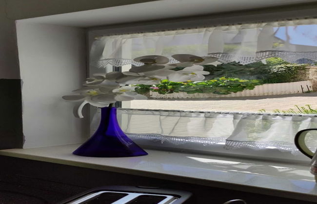 Apartment in Wehlen by Moselle Vineyards - Photo 28