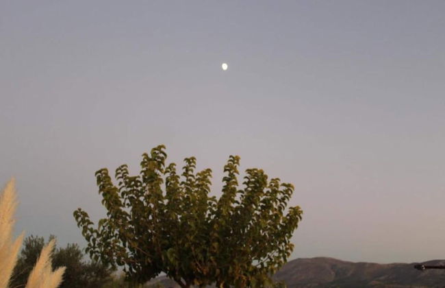 Apartment in Elounda Near Spinalonga Beach - Foto 36