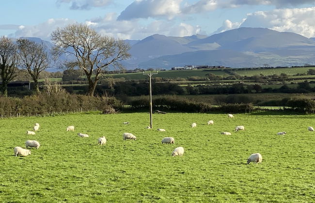 Beautiful, Private Farm Cottage in Anglesey - Foto 30