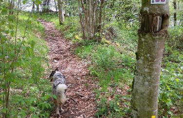 Maison de village gîte de "La Roche" - Foto 38