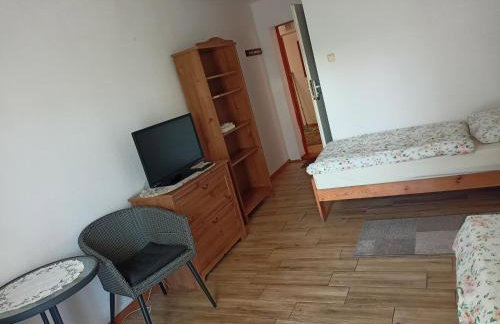 Willa Rosa - Photo 12