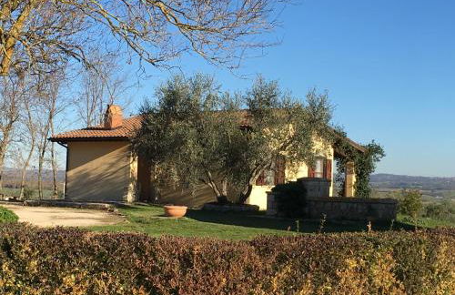 Agriturismo Terre di Musignano - Foto 9