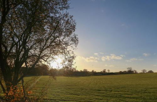 Box Tree Escapes - Foto 20