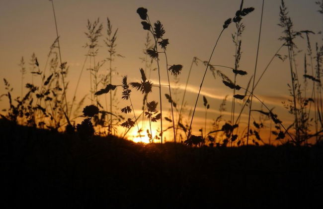 Ferienhaus Oase am Mühlebach - Foto 19