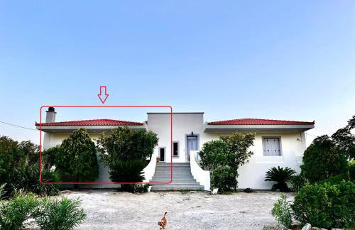 EvgatisBeach Loyskoy 1 - Foto 1