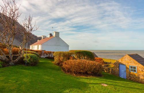 Blue - Uk43119 - Foto 10