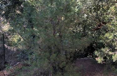 Casa con piscina - Photo 14