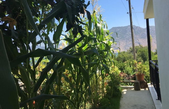 Duru Evleri - Foto 22