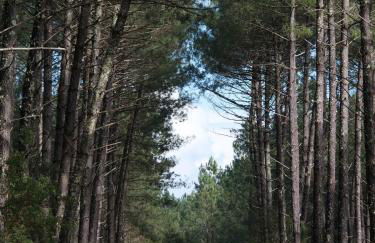 Appart Cosy Green, Océan, Golf, Piscine, Wifi - Foto 57