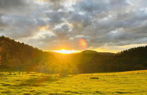 Haus am Sagenweg - Foto 16