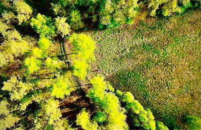 Dobrostan Domek w Naturze - Foto 55