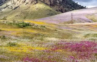 Sacred Mtn River Suites - Foto 24