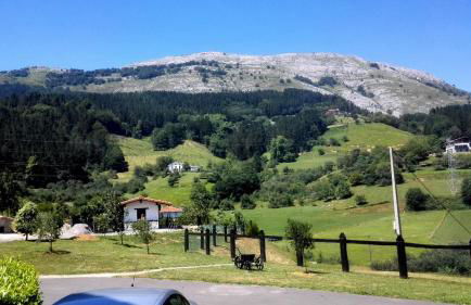 Txanpardin - Foto 75