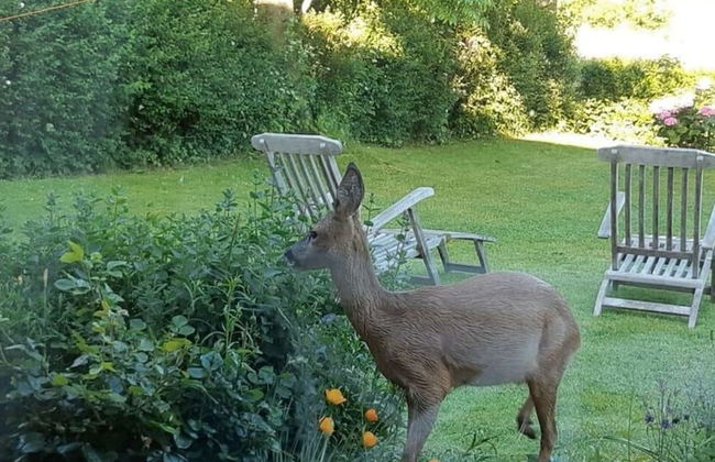 Hogelia Comfortable Holiday Residence - Foto 30