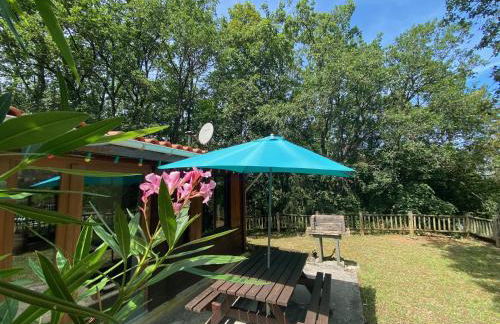 Gîte les chênes verts - Périgord noir proche grottes de Lascaux - Foto 30
