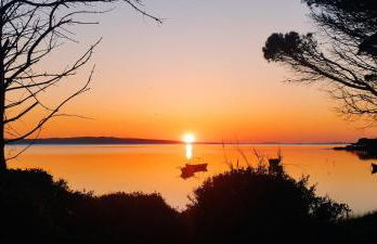 Case vacanza "Gli Ulivi" - Foto 30