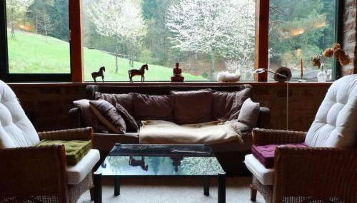 Holiday Home in Walscheid mit Terrasse- Grill by Interhome - Foto 5