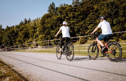 Ferienwohnung König Ludwig - Modernes Design-Apartment für Paare und Genießer am Starnberger See by LIVARIA - Foto 47