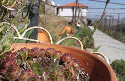 Casa da Quinta do Porto - Foto 16