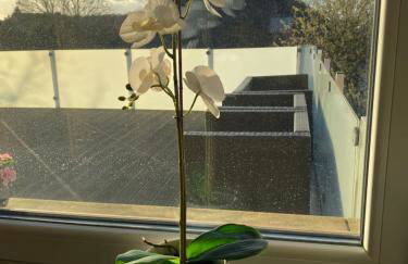 Gästehaus Brunswiek Obergeschoss - Foto 66