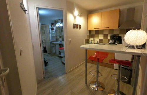 Studio rez-de-chaussée, à Lesquin/Lille aéroport - Photo 10