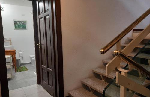 The Green Owl - Foto 33