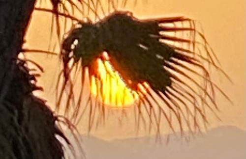 Villa Daurus - Foto 7