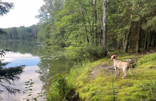 Żurawi klangor - dom z sauną i jacuzzi - Foto 41