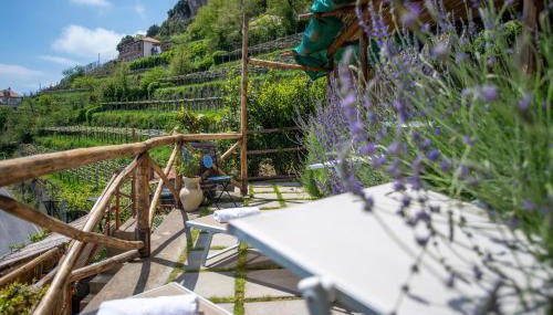 LA CASA DEL CAPITANO furore amalfi coast - Foto 3, Garden view